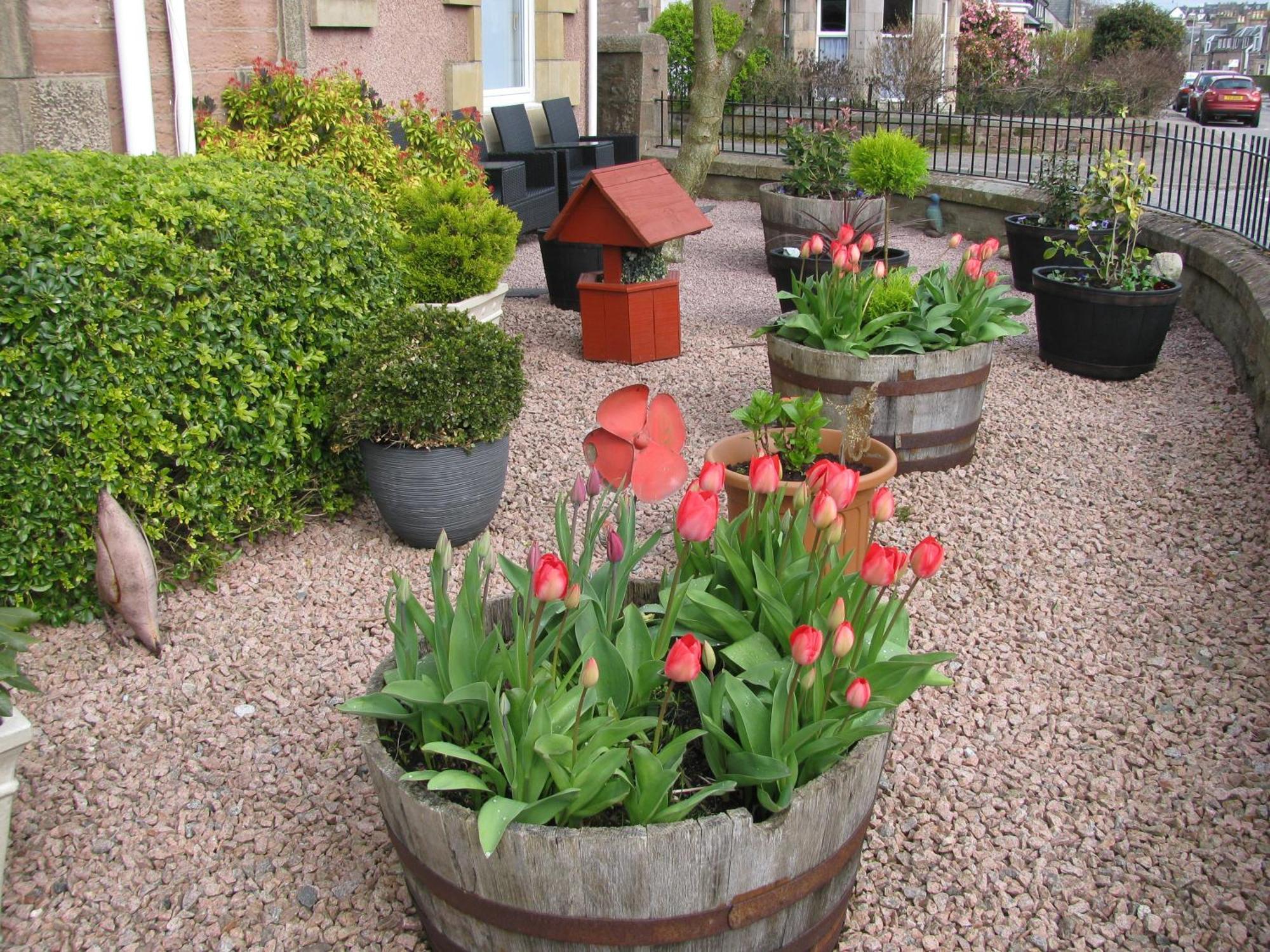 Fairfield Townhouse Guest House Inverness Exteriör bild